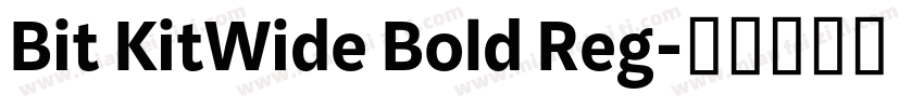 Bit KitWide Bold Reg字体转换